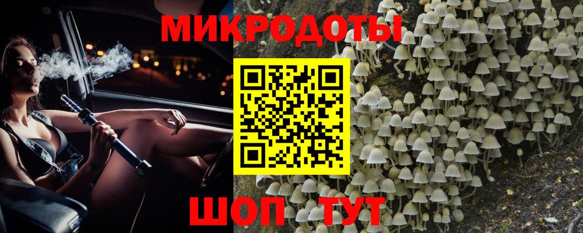Камышин  Галлюциногенные грибы Magic Shrooms  Вход с VPN  Галлюциногенные грибы Cubensis 