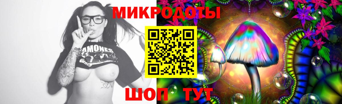 Псилоцибиновые грибы MAGIC MUSHROOMS Камышин